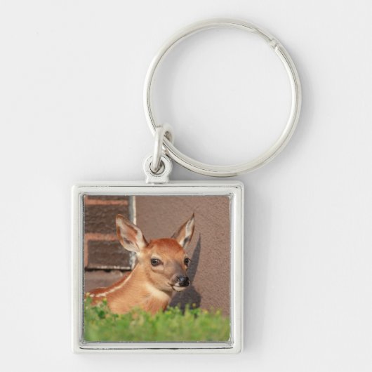 子鹿ポートレート キーホルダー (正面)