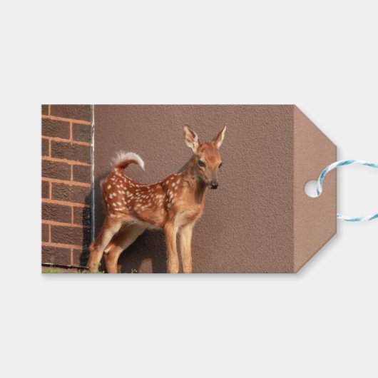 子鹿ポートレート ギフトタグ (正面(横))
