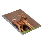 子鹿ポートレート ノートブック (右側)