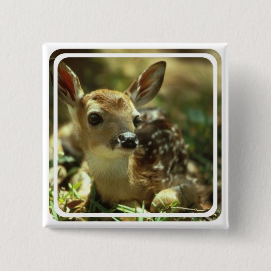 子鹿正方形Pin 缶バッジ (正面)