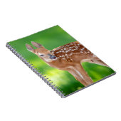 子鹿生まれたばかりののポートレート ノートブック (右側)