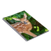 子鹿生まれたばかりののポートレート ノートブック (右側)