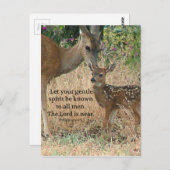 子鹿自然クリスチャン創造芸術 ポストカード (正面/裏面)