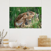 子鹿2009 ポスター (キッチン)