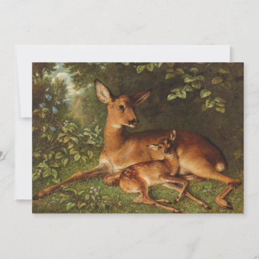 子鹿 | カール・シュウェニンガー、ジュニア。 (正面)