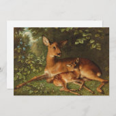 子鹿 | カール・シュウェニンガー、ジュニア。 (正面/裏面)