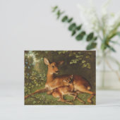 子鹿 | カール・シュウェニンガー、ジュニア。 ポストカード (スタンド正面)