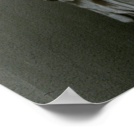 孔像（306-312年） ポスター (角)