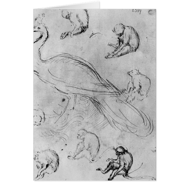 孔雀および6匹の猿 (正面)