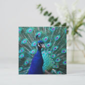 孔雀かわいらし招待状 招待状 (スタンド正面)