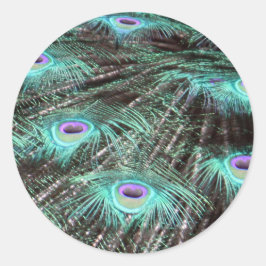 孔雀かわいらし羽の写真 ラウンドシール