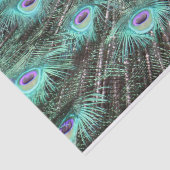 孔雀かわいらし羽の写真 薄葉紙 (詳細)