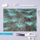 孔雀かわいらし羽の写真 薄葉紙 (クラフト)