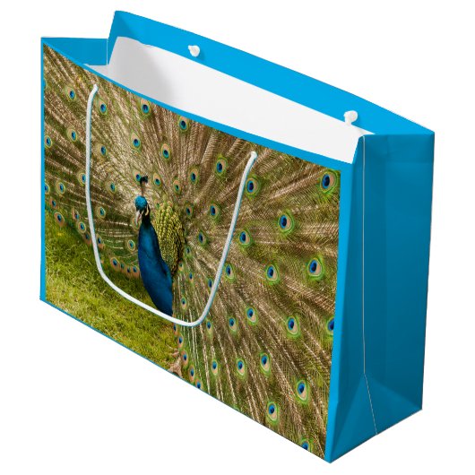 孔雀とその美しい羽の抱き枕 ラージペーパーバッグ (正面アングル)