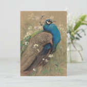 孔雀とマルゲリッツ | エドウィン・ジョン・アレキサンダー (スタンド正面)