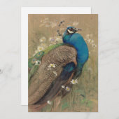 孔雀とマルゲリッツ | エドウィン・ジョン・アレキサンダー (正面/裏面)