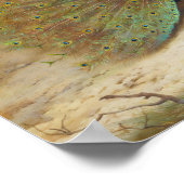 孔雀と孔雀バタフライアートイラストレーション ポスター (角)