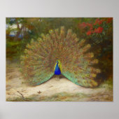 孔雀と孔雀バタフライアートイラストレーション ポスター (正面)