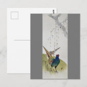 《孔雀と枝垂れ桜》、渡辺省亭 ポストカード (正面/裏面)