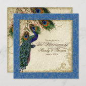 孔雀と羽のウェディングフォーマルがブルーを王室の招待 招待状 (正面/裏面)