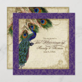 孔雀と羽のウェディングフォーマルは紫を招待 招待状 (正面/裏面)