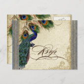 孔雀と羽のウェディングフォーマルRSVP応答 インビテーションポストカード (正面/裏面)