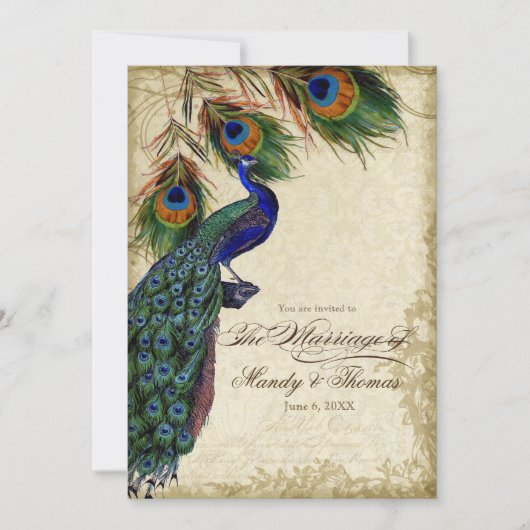 孔雀と羽のフォーマル茶結婚の染色 招待状 (正面)