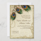 孔雀と羽のフォーマル茶結婚の染色 招待状 (裏面)
