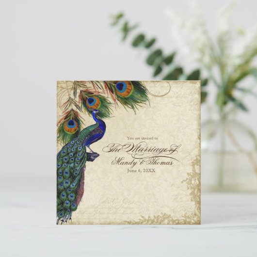 孔雀と羽のフォーマル茶結婚の染色 招待状 (スタンド正面)