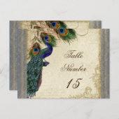 孔雀と羽フォーマル結婚のテーブル番号 ポストカード (正面/裏面)