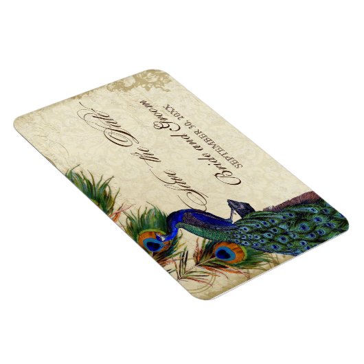 孔雀と羽フォーマル黒タンの日付を保存 マグネット (右側)