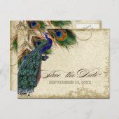 孔雀と羽フォーマル黒タンの日付を保存 案内ポストカード (正面/裏面)