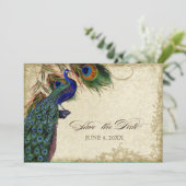 孔雀と羽根　セーブ・ザ・デート　ティー・ステイン セーブザデート (スタンド正面)