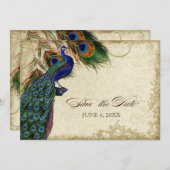 孔雀と羽根　セーブ・ザ・デート　ティー・ステイン セーブザデート (正面/裏面)