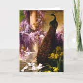 孔雀と鳩が庭に カード (正面)