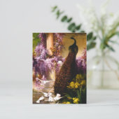 孔雀と鳩が庭に ポストカード (スタンド正面)