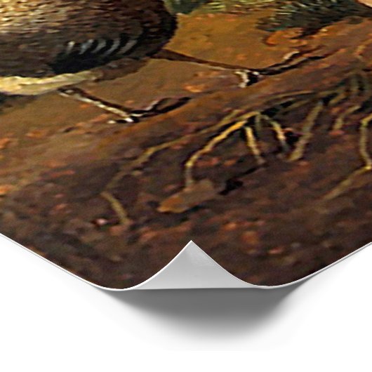 孔雀と鶏 ポスター (角)