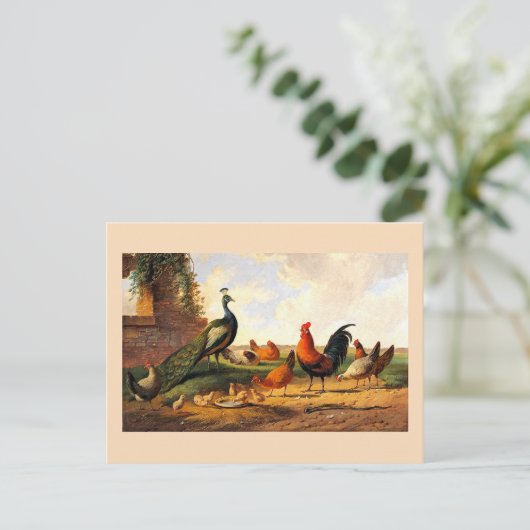 孔雀と鶏 ポストカード (スタンド正面)