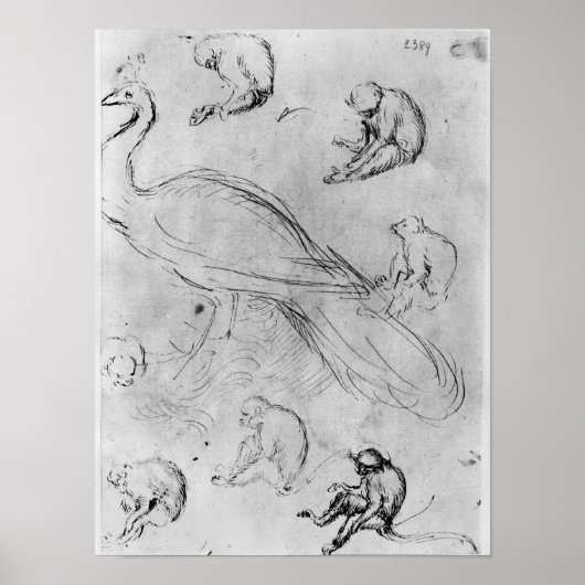 孔雀と6匹のサル ポスター (正面)