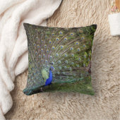 孔雀のアクセントの枕 クッション (ブランケット)