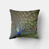 孔雀のアクセントの枕 クッション (裏面)