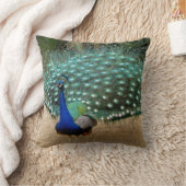 孔雀のアメリカ人のMoJoの美しい枕 クッション (ブランケット)