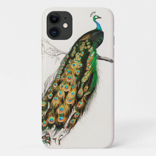 孔雀のイラスト ヴィンテージ アート プリント Case-Mate iPhoneケース (裏面)