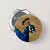 孔雀のカスタマイズ可能なバッジ及びボタン 缶バッジ (正面&裏面)