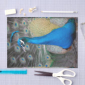 孔雀のカラフルのクローズアップ 薄葉紙 (クラフト)