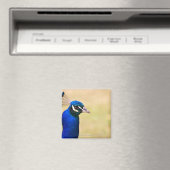 孔雀のクローズアップ2 マグネット (インサイチュ (食洗機))