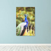 孔雀のクローズアップ キャンバスプリント (インサイチュ (ウッドフロア))