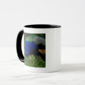 孔雀のクローズアップ マグカップ (正面左)
