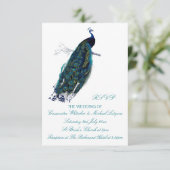 孔雀のコレクションRSVP 出欠カード (スタンド正面)