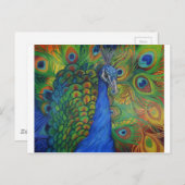 孔雀のスケッチ ポストカード (正面/裏面)